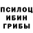 Галлюциногенные грибы Psilocybine cubensis Veronika Vovchok
