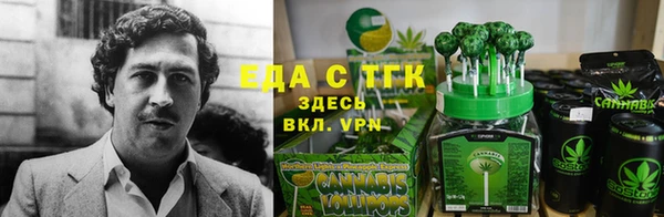 хмурый Верея