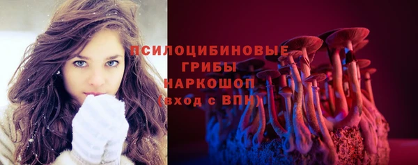 хмурый Верея