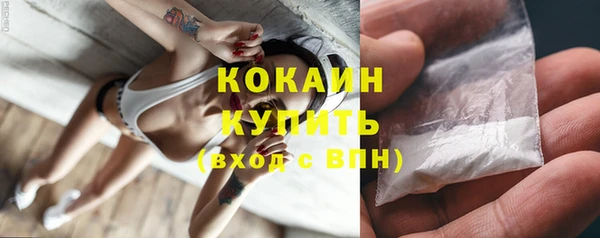 хмурый Верея