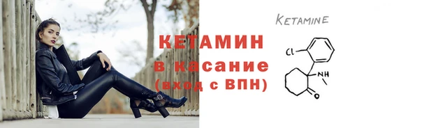хмурый Верея