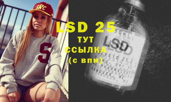 хмурый Верея