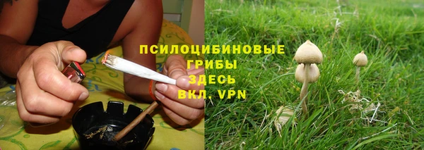 хмурый Верея