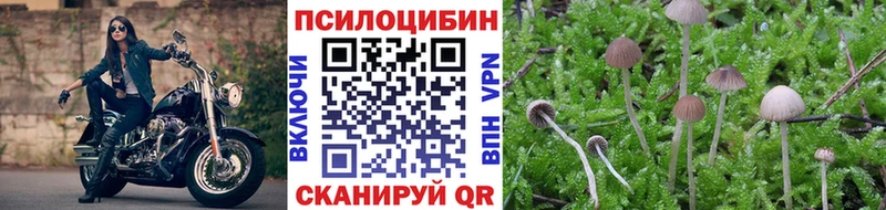 Псилоцибиновые грибы MAGIC MUSHROOMS  Купить  Выкса 